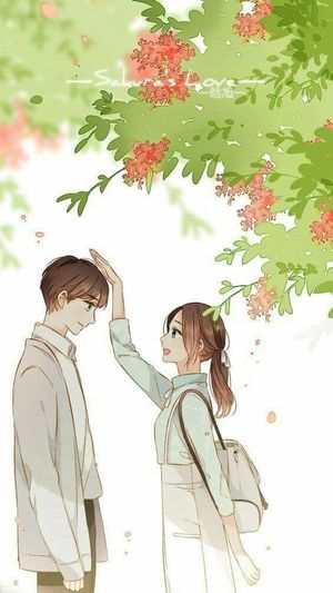 Chị ơi, em xin lỗi, em sai rồi