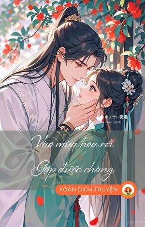 VÀO MÙA HOA RƠI GẶP ĐƯỢC CHÀNG