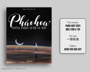Pháo Hoa Trên Bầu Trời U Tối