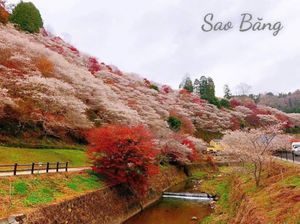 Khi nào trời sẽ mưa