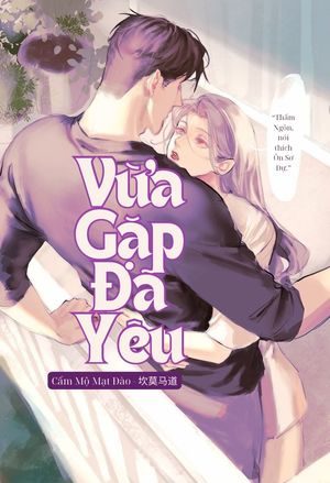 Vừa Gặp Đã Yêu