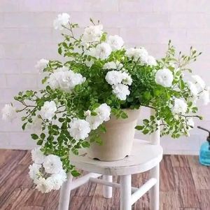 Nghệ thuật sát phu