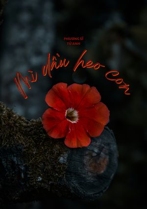 Mì dầu heo con