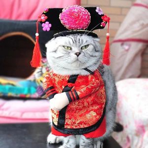 Miêu Phi Họa Quốc