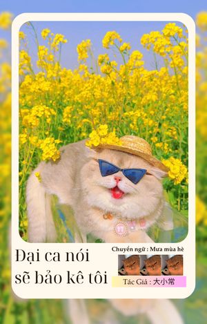 Đại ca nói sẽ bảo kê tôi