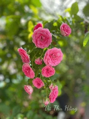 Kết hôn không bằng yêu đương
