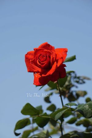 Kẻ săn mồi