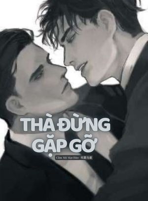 Thà Đừng Gặp Gỡ
