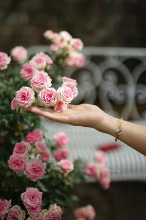 Hẹn gặp lại, Phó Bách Xuyên