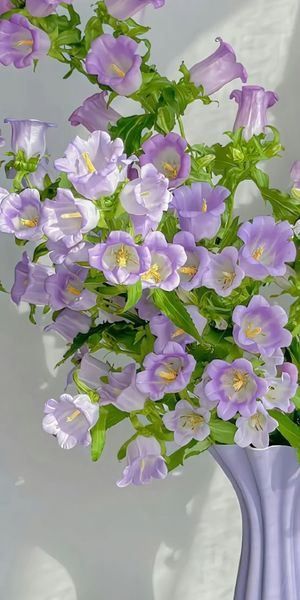 Gặp Giữa Mùa Hè