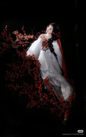 Hồng Vũ Nguyên Nguyên