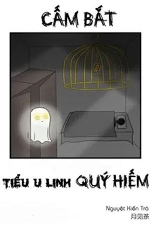 Cấm Bắt Tiểu U Linh Quý Hiếm
