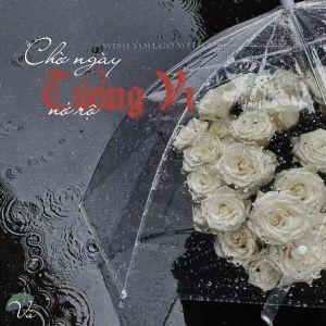 Chờ ngày tường vi nở rộ