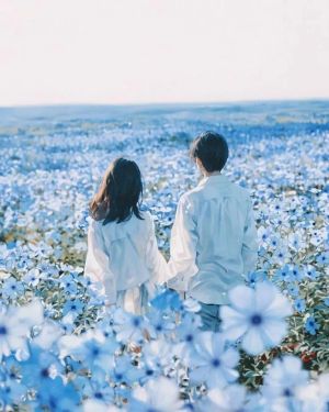 Có cần hào quang của nhân vật chính không?