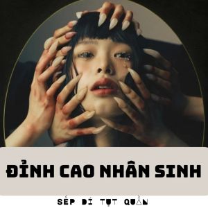 Đỉnh Cao Nhân Sinh