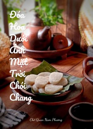 ĐÓA HOA DƯỚI ÁNH MẶT TRỜI CHÓI CHANG