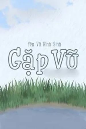 Gặp Vũ