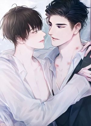Giường Đôi Màu Tím