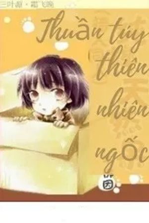 [HxH Đồng Nhân] Thuần Túy Thiên Nhiên Ngố