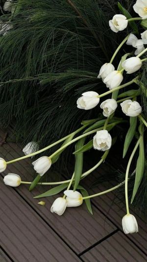 Một Đời Một Kiếp
