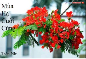 Mùa Hạ Cuối Cùng