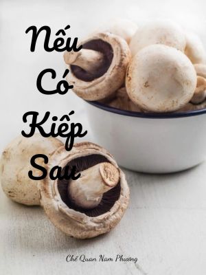 NẾU CÓ KIẾP SAU