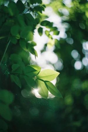 Nông Gia Tiên Điền Quyển 1