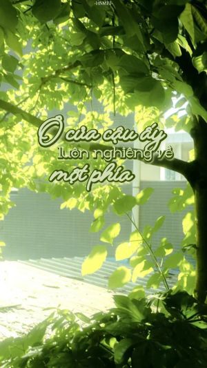 Ô của cậu ấy luôn nghiêng về một phía