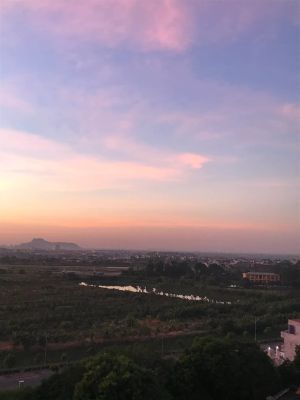 Thân yêu của chúng ta (2501)