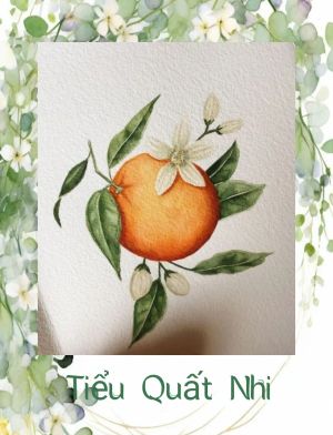Tiểu Quất Nhi (Quýt nhỏ)