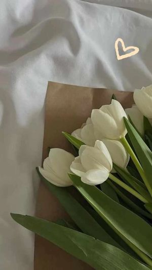 Tiểu Tình Thơ Của Kỷ Tiên Sinh