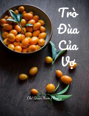 TRÒ ĐÙA CỦA VỢ