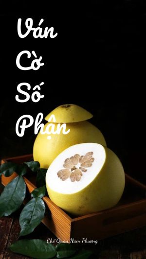 VÁN CỜ SỐ PHẬN