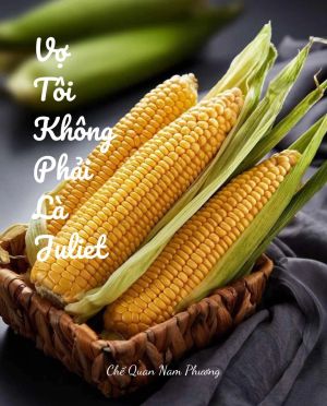VỢ TÔI KHÔNG PHẢI LÀ JULIET