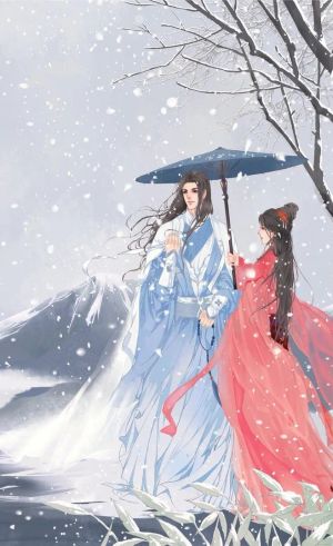 Vương Phi Côn Đồ, Vương Gia Ngốc